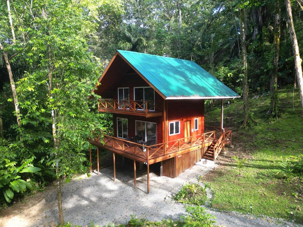 ボカス・タウンにあるGaia Nature Lodges at Bluff Beachの緑の屋根の森の小屋