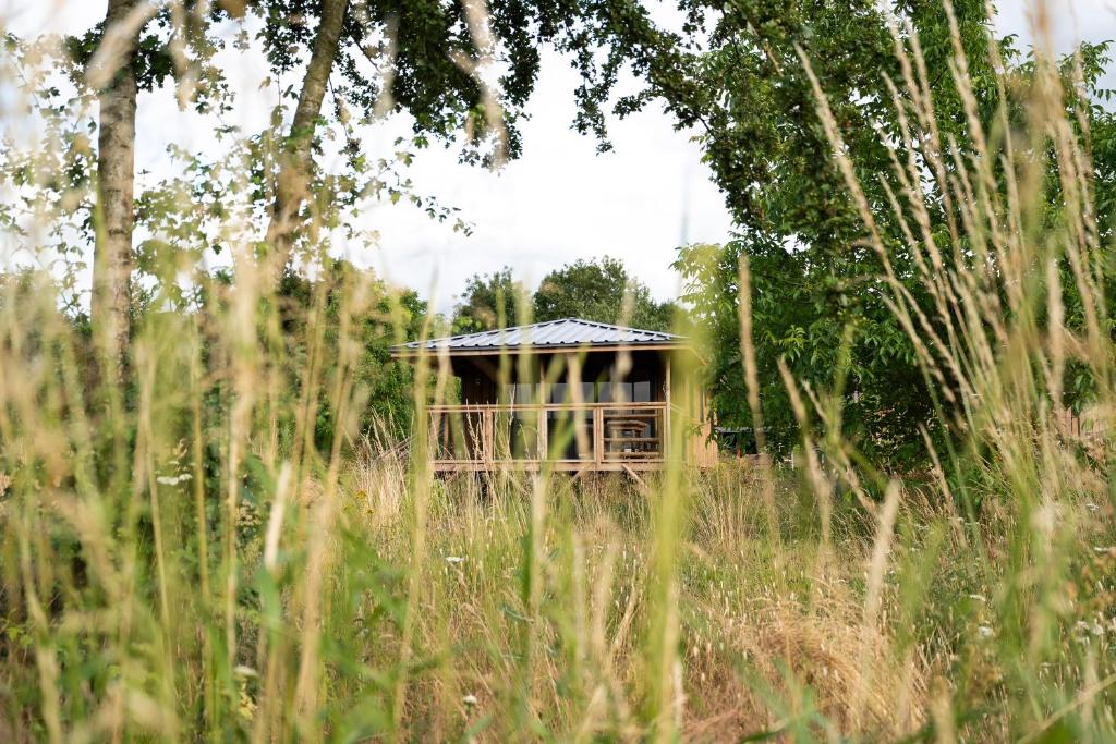 Vrt pred nastanitvijo Ecau Lodge - Logement insolite à 30km de Pairi Daiza