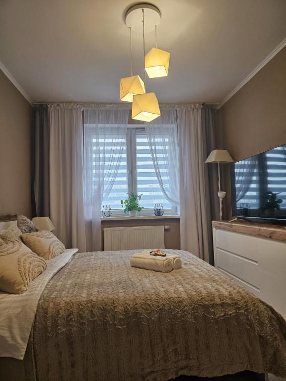 Cama ou camas em um quarto em 2 Bed Apartment in Zyrardow