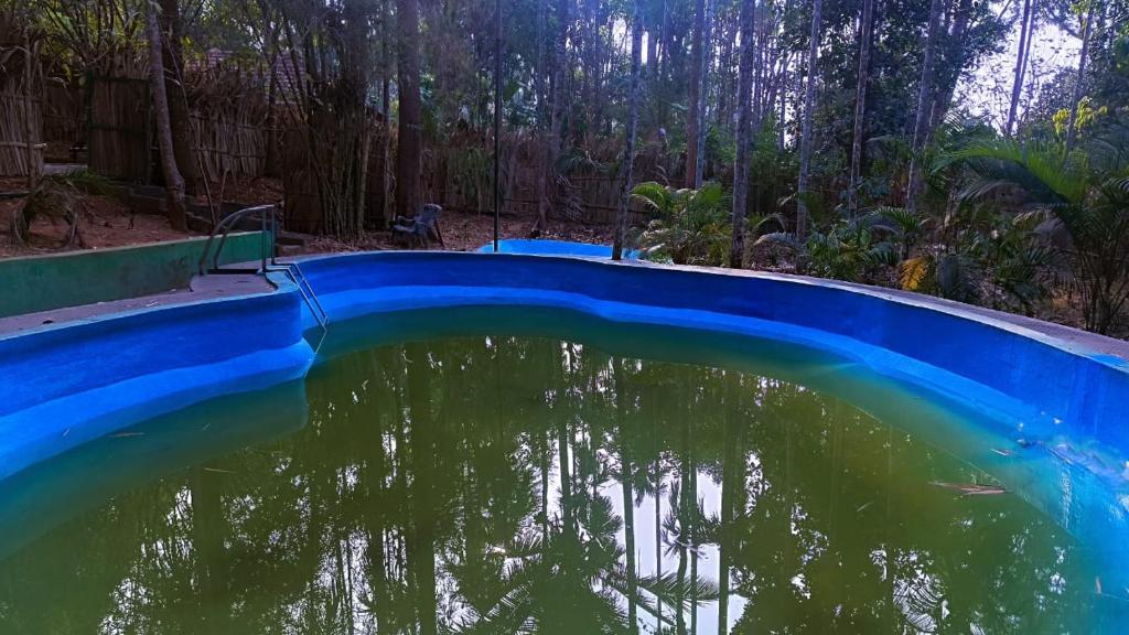 a pool of water with trees in the background at Ayurguru Ayurvedic Kalari Resort in Sultan Bathery