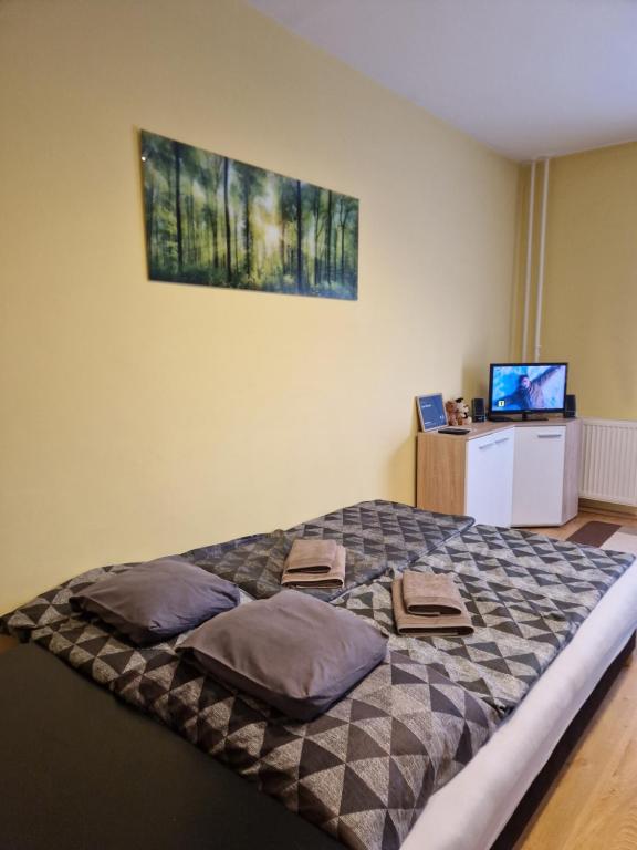 1 dormitorio con 1 cama con 2 almohadas en Casa Victoria, en Pécs