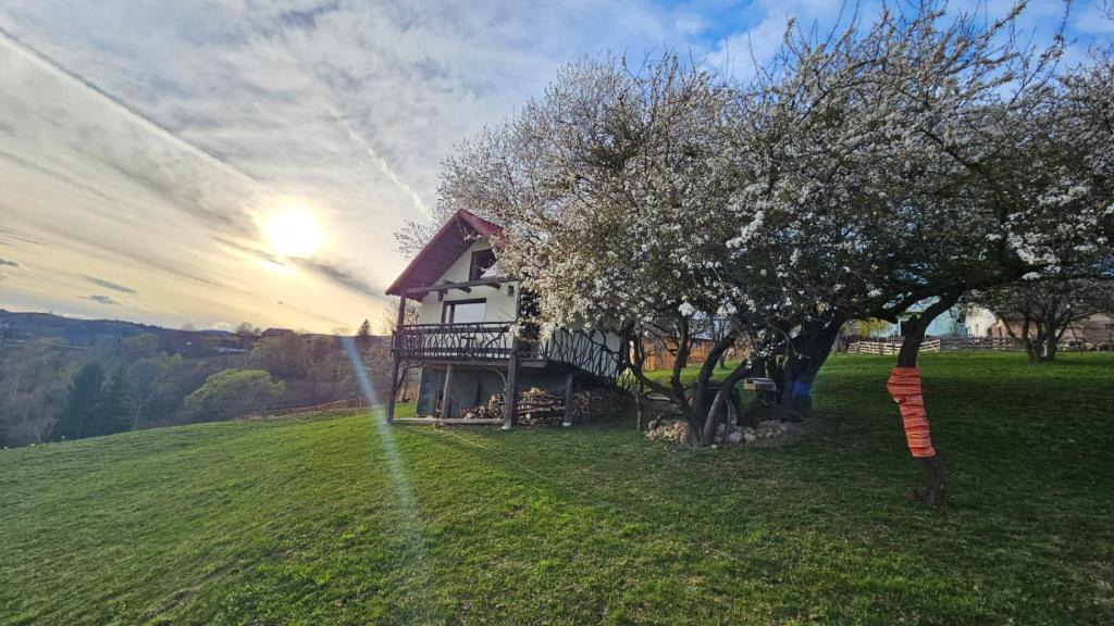 Un paisaje natural cerca del complejo de cabañas