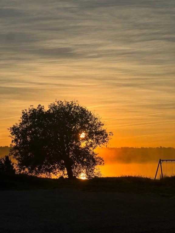 Przyroda w pobliżu tego pensjonatu