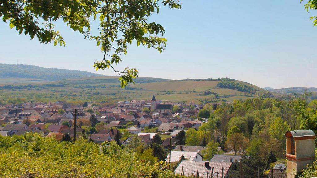 Priroda u blizini apartmana