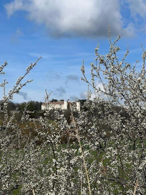 Galerija fotografija objekta Maison Ray Sur Saône u gradu 'Ray-sur-Saône'