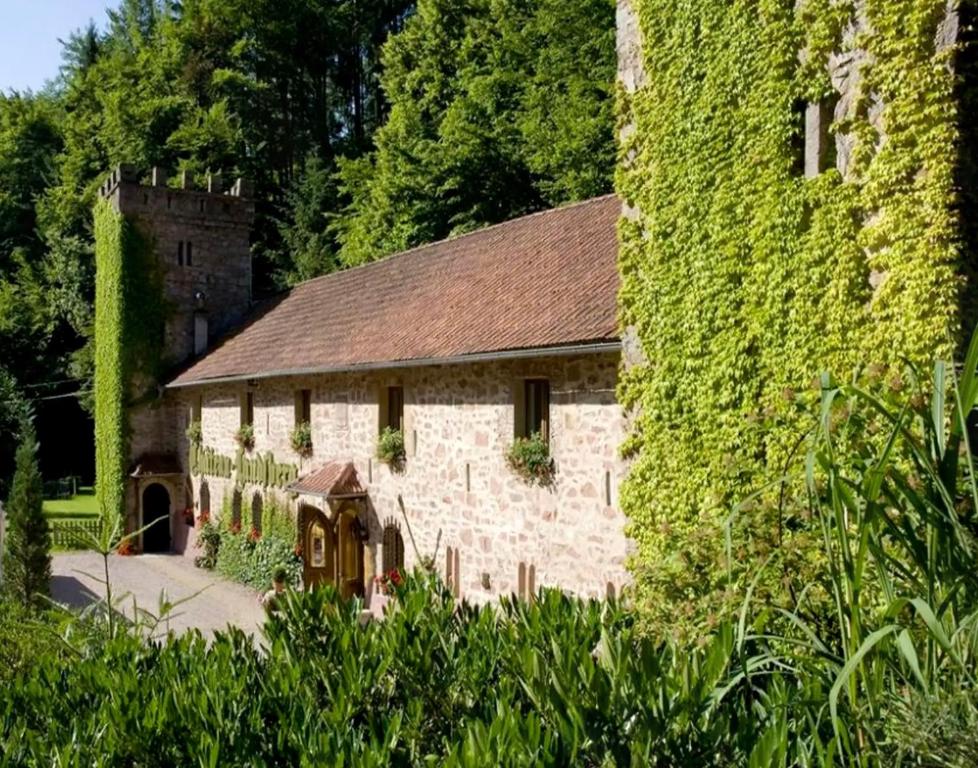 Dārzs pie naktsmītnes Le Château du Landsberg