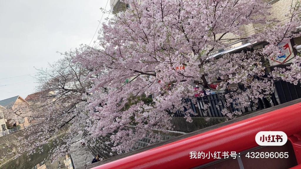 Galerija fotografija objekta 桜川別莊 u gradu 'Kamakura'