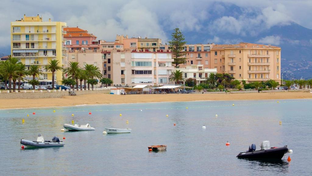 een groep boten in het water bij een strand bij Beau studio proche centre ville et plage in Ajaccio