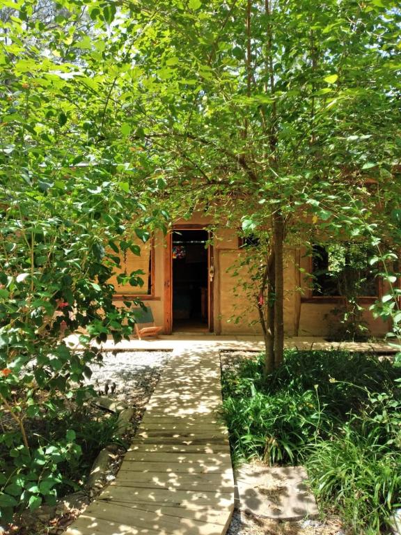 einen Gang, der zu einem Gebäude mit einem Baum führt in der Unterkunft Eco habitación en Tierra Fértil Eco Posada in Santa Ana