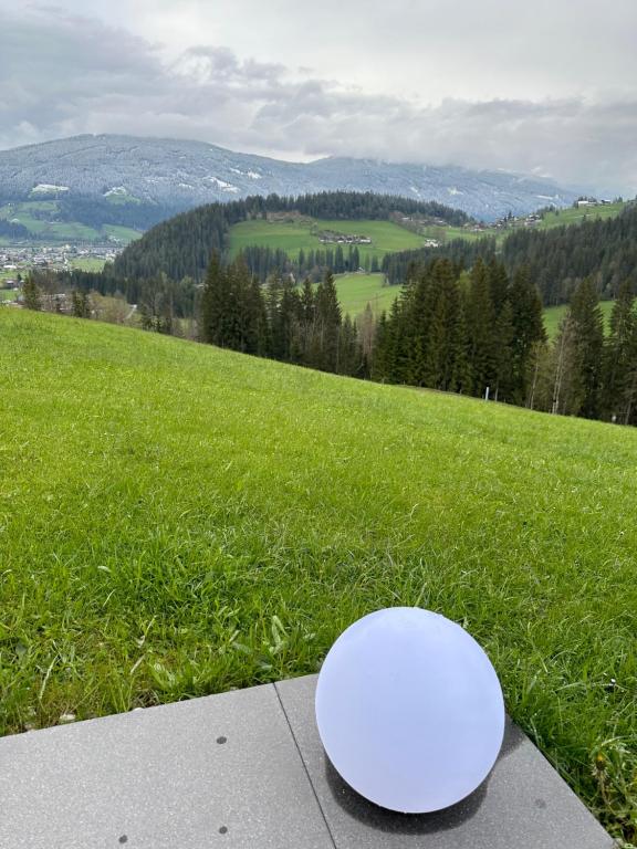 ein weißer Frisbee auf einem Feld in der Unterkunft Luxus-Apartment-Vorderreit Gut in Altenmarkt im Pongau