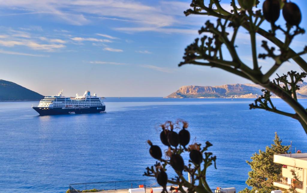 un navire de croisière dans une grande étendue d'eau dans l'établissement Hotel Sonne - Adults Only, à Kaş