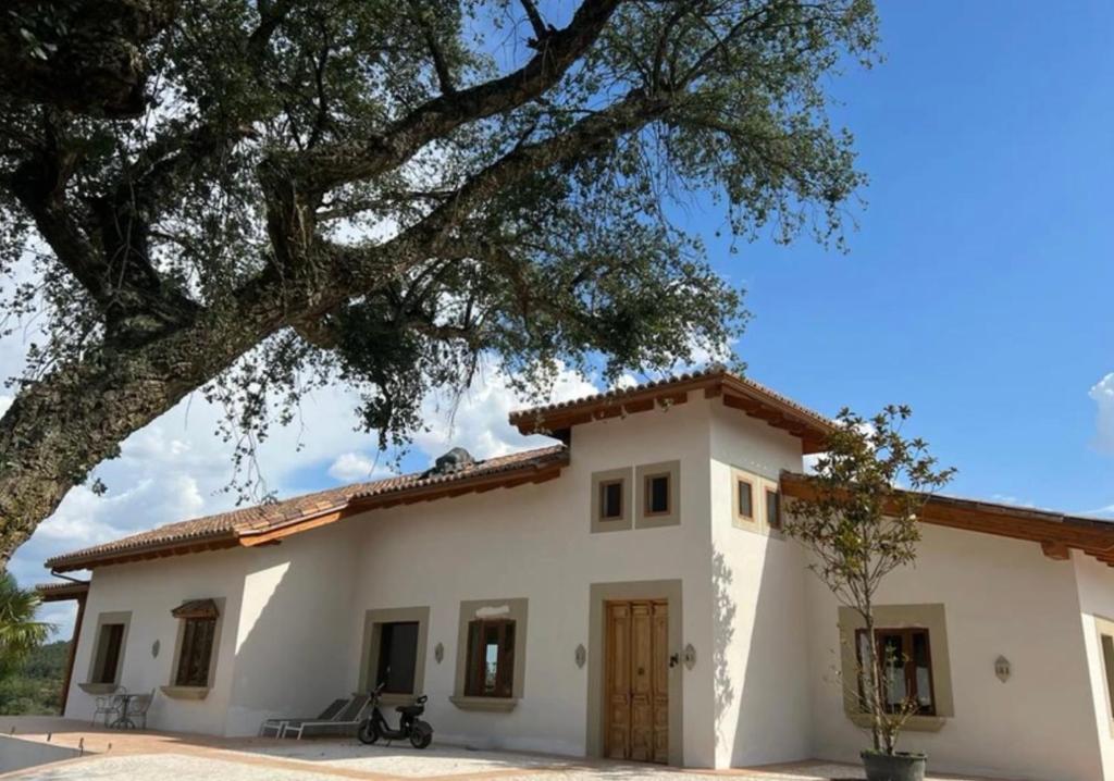 ein großes weißes Haus mit einem großen Baum in der Unterkunft Finca Valdelaseras in Badajoz