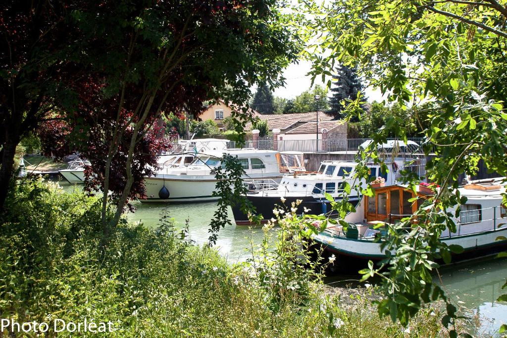 Eine Gruppe von Booten liegt in einem Hafen vor Anker. in der Unterkunft Gîte les Moignottes in Vitry-le-François