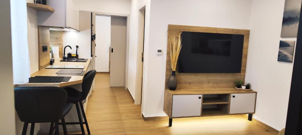 a kitchen with a bar and a tv on a wall at HANESI apartments Luhačovice in Luhačovice