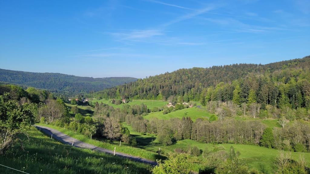 uma estrada sinuosa através de um vale verde com árvores em Auberge La Tête En L'Air em Hohwald