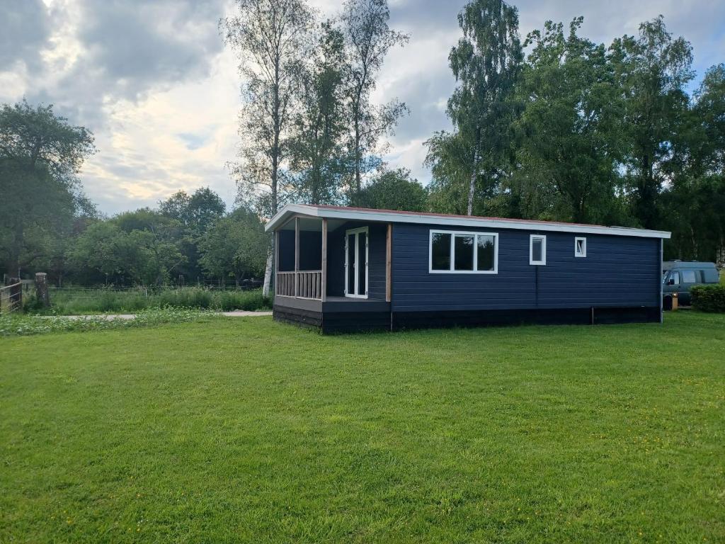 een blauw tiny house in een veld van gras bij IJsvogel in Schipborg