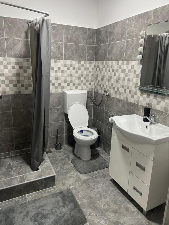 bagno con servizi igienici e lavandino di Feher Akac Guest House a Palić