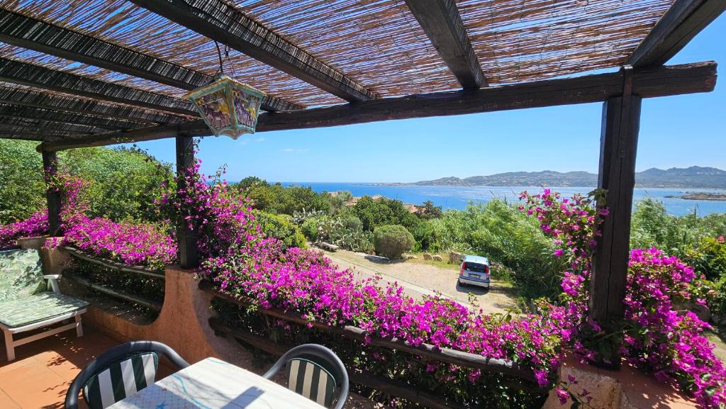 a patio with purple flowers and a view of the water at LA TERRAZZA SUL MARE - panoramic cottage overlooking sea and Caprera island in a quiet residential area - 150 mt from the sea in La Maddalena