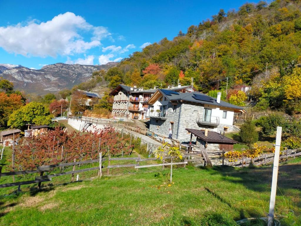 아파트 주변 자연 경관