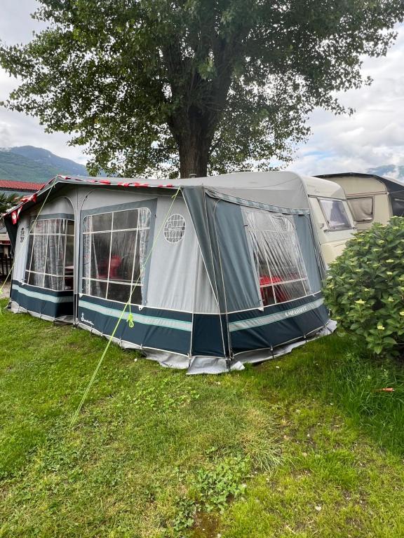 een tent in het gras naast een boom bij Camping Alex in Cadenazzo