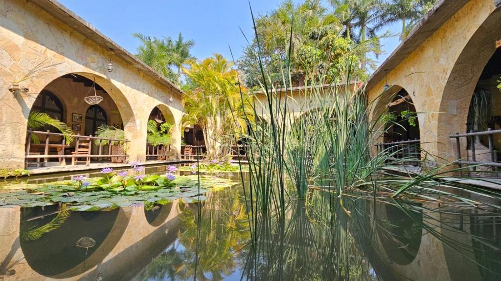 une piscine d'eau avec des nénuphars dans un jardin dans l'établissement Rancho Agua Salada, à Alpuyeca