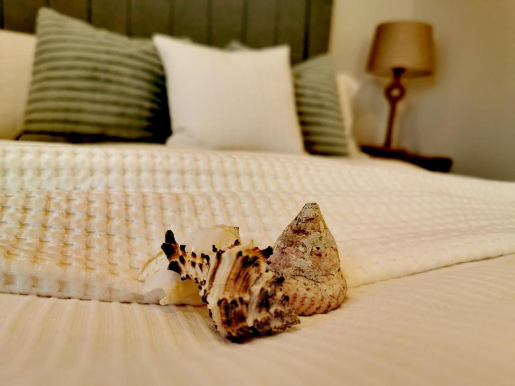 een schelp op een bed bij Seashell luxury apartment in Burnham on Sea