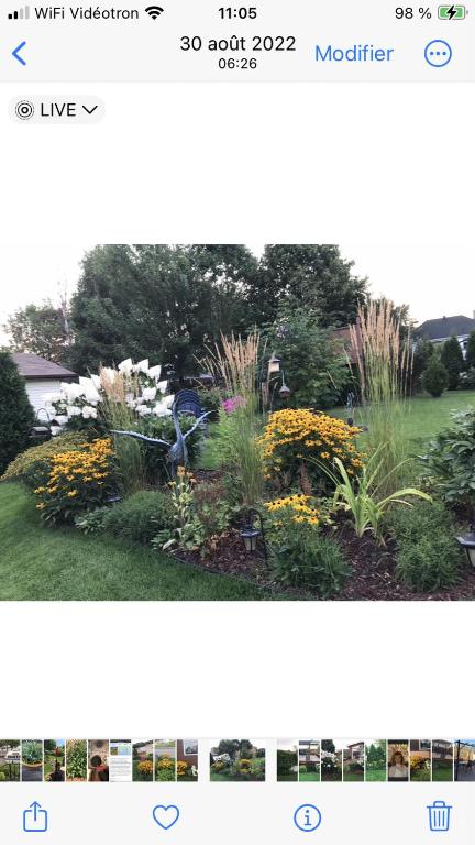 due foto di un giardino con fiori e piante di Oasis de la rivière a Saguenay