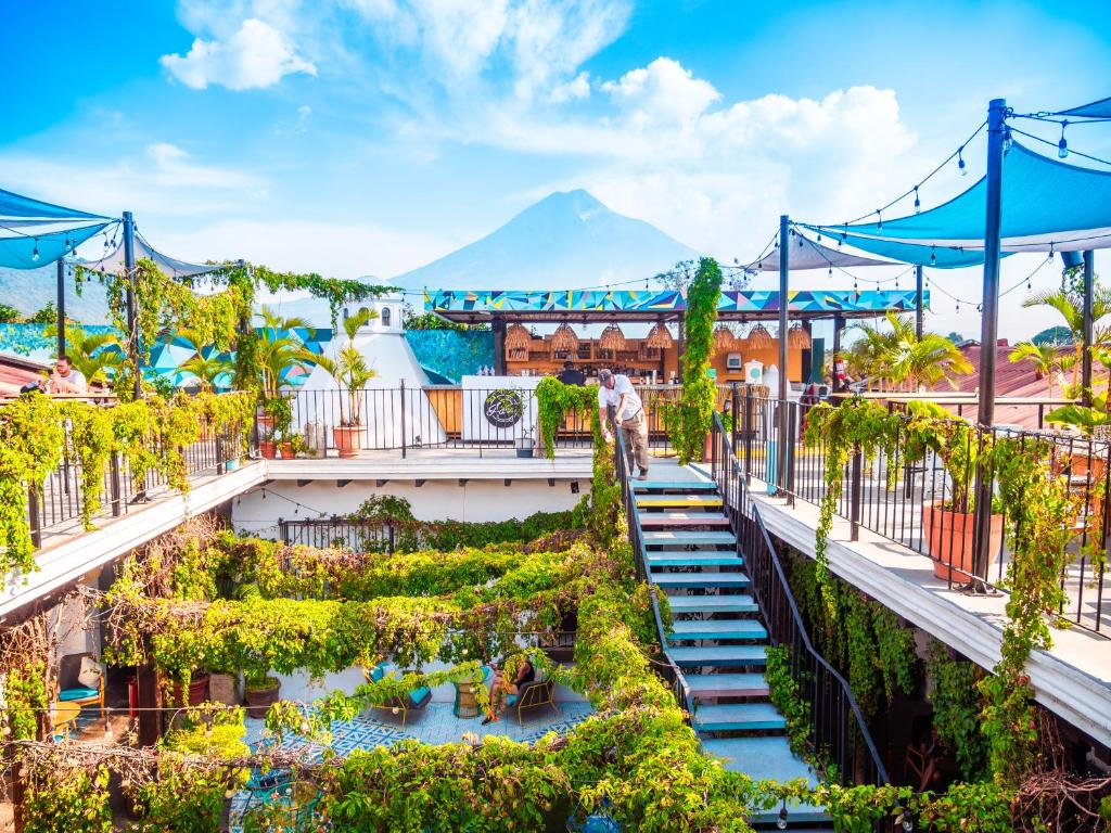 A garden outside Adra Hostel