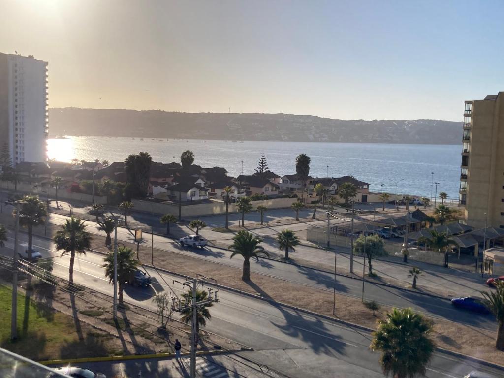 Elle offre une vue sur une rue bordée de palmiers et l'océan. dans l'établissement Hermoso Departamento Playa La Herradura, à Coquimbo