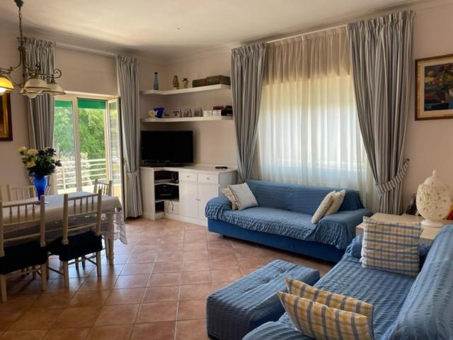 ein Wohnzimmer mit blauen Sofas und ein Esszimmer in der Unterkunft Aqua Orbetello in Orbetello