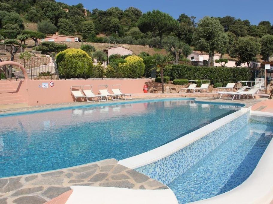 uma grande piscina com cadeiras em Domaine San Sebastiano em Porto-Vecchio