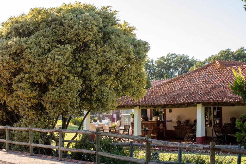 Herdade das Barradas da Serra tesisinin dışında bir bahçe