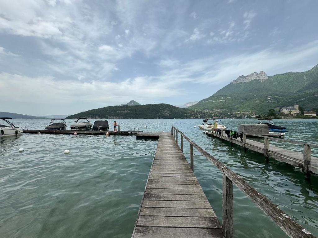 Appartement Le Beach du Lac d'Annecy avec les pieds dans l eau, plage et ponton privé في دْوا: مرسى على بحيرة مع جبال في الخلفية