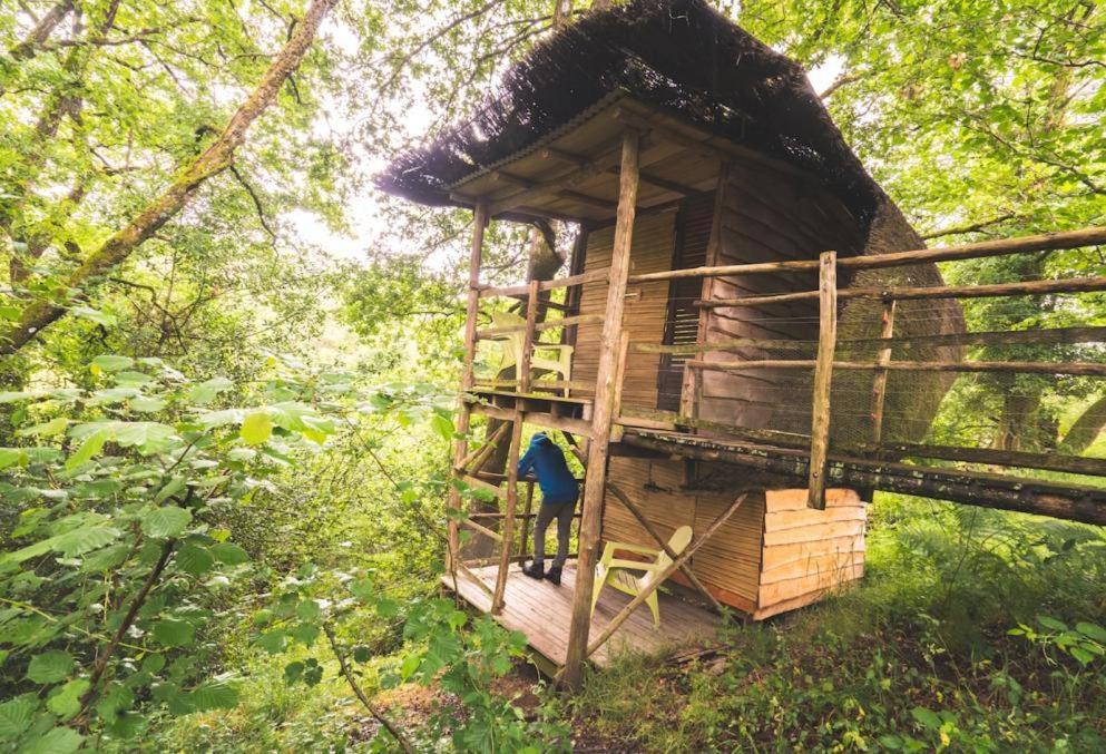 Zahrada ubytování Terragora Cabanes Glamping