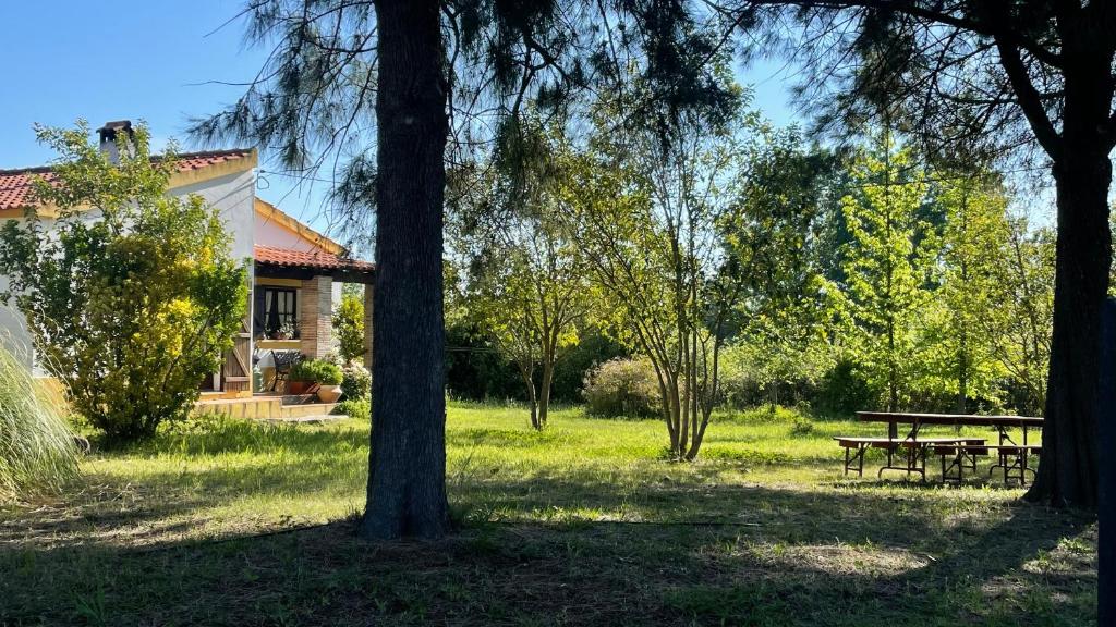 una casa con tavolo da picnic in un parco di Quinta dos Trevos - Artes e Ofícios a Ladoeiro