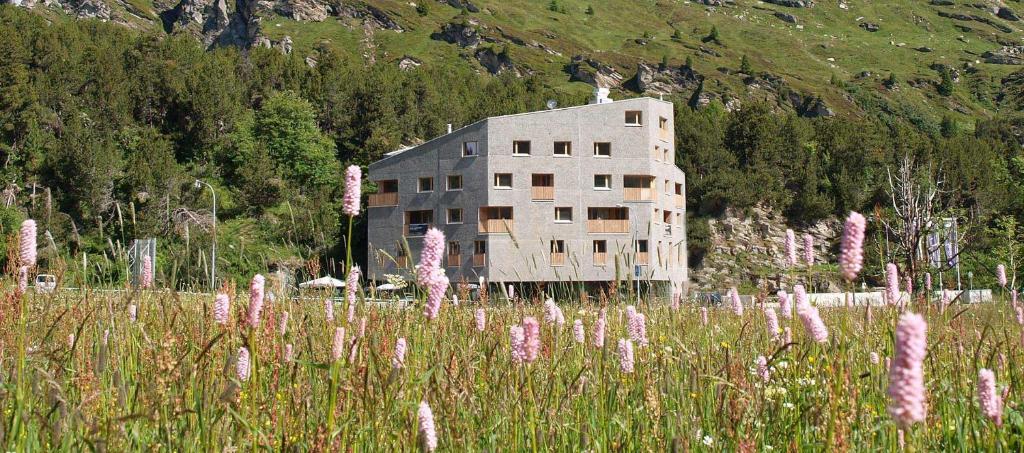 Otel yakınında doğal manzara