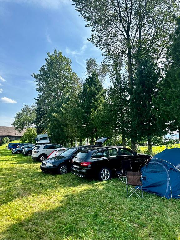 En hage utenfor Hubmoar Camping Spielberg