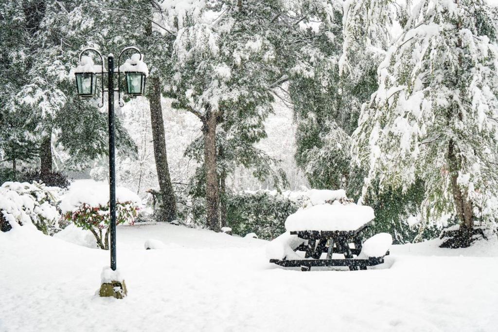 um banco coberto de neve ao lado de um poste de luz em Melewe em Villa La Angostura