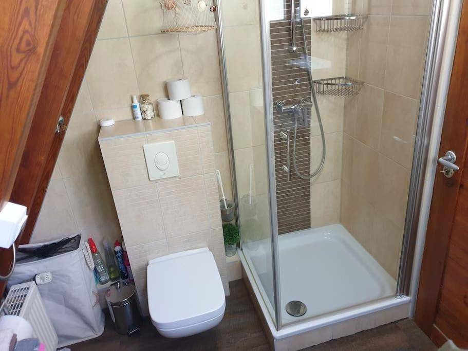 y baño pequeño con ducha y aseo. en Nurdachhaus mit Kaminofen und großem Grundstück, en Faßberg