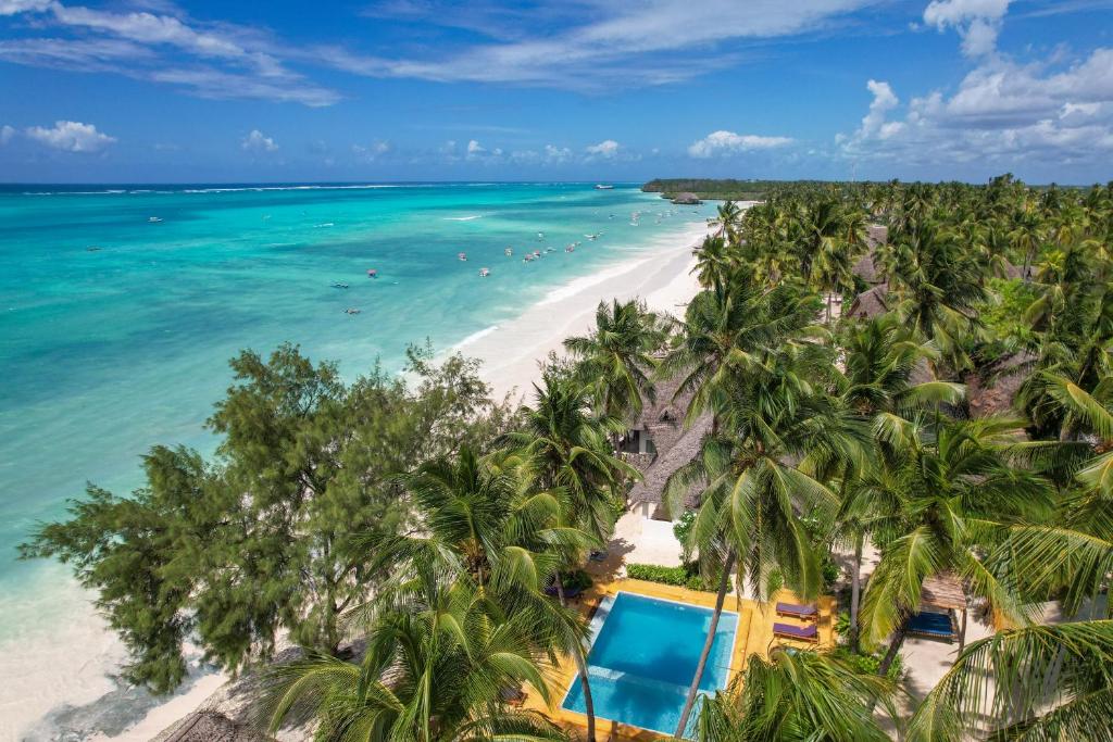 una vista aerea di una spiaggia con palme di Mnana Beach Bungalows a Michamvi Kae