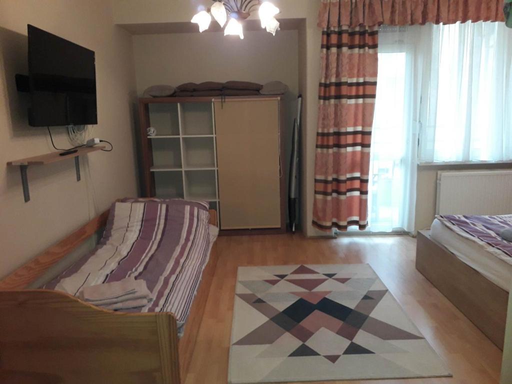 sala de estar con sofá y TV en Rózsadomb apartman, en Pécs