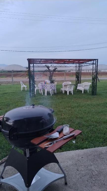 grill i stoły piknikowe na polu z namiotem w obiekcie La casa di là. w mieście San Donato