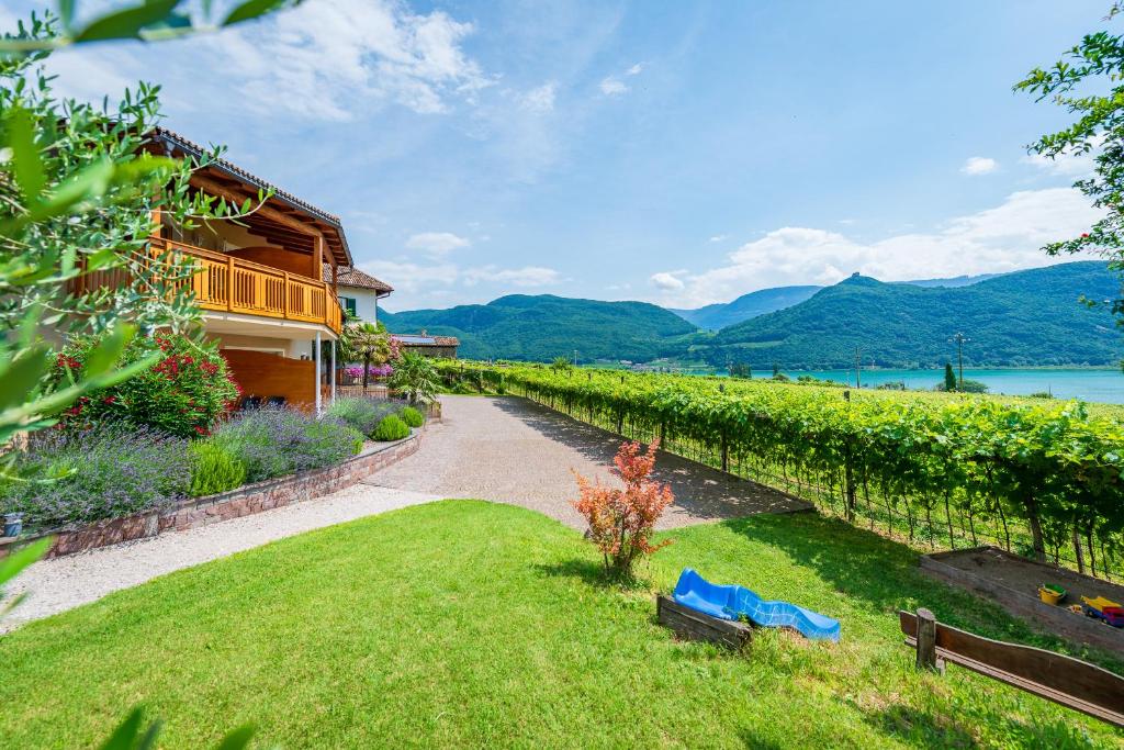 a path through a vineyard next to a house at Weinhof am See in Caldaro