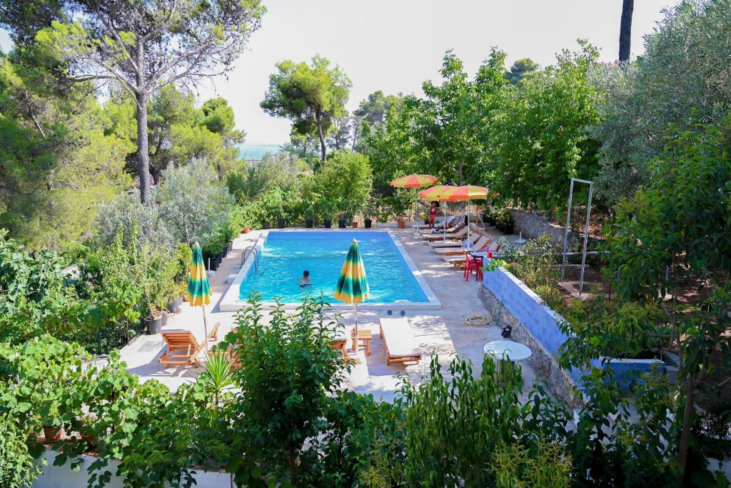 The swimming pool at or close to Gini Palace - Shengjin