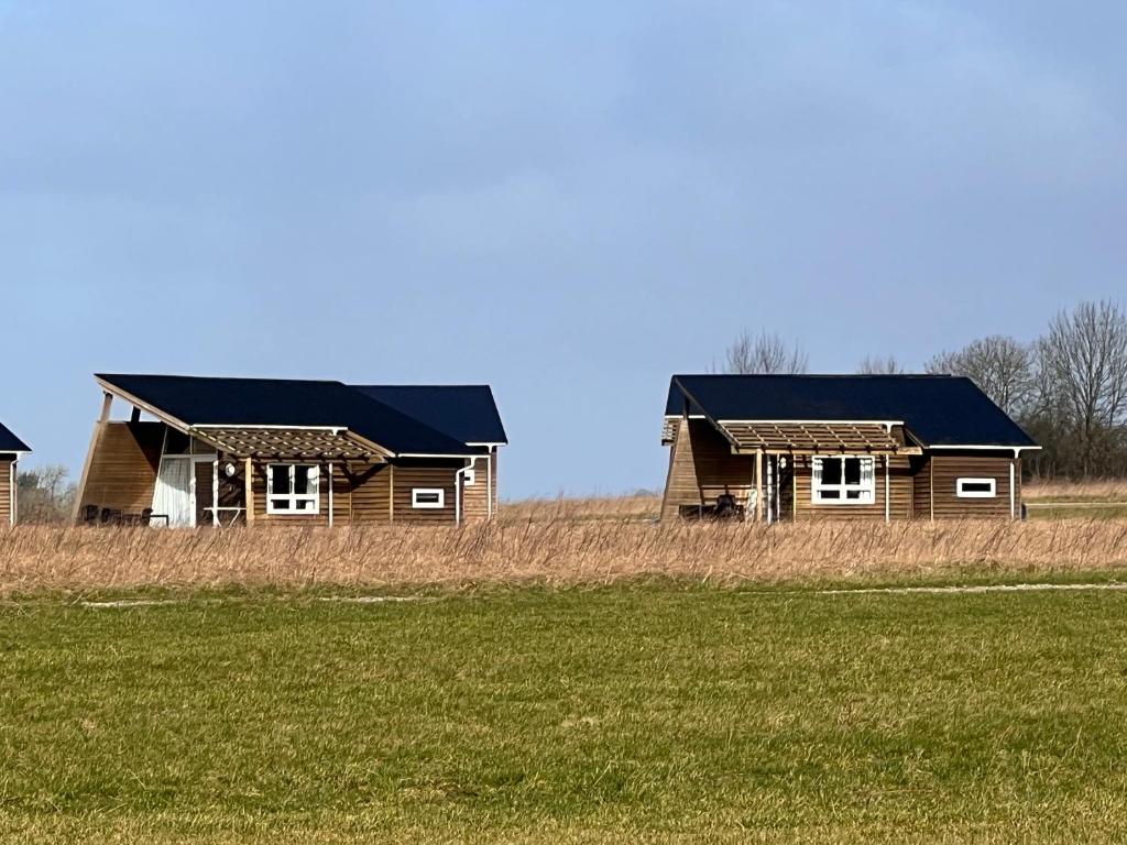 une maison en bois au milieu d'un champ dans l'établissement Dancamps Kolding City, à Kolding