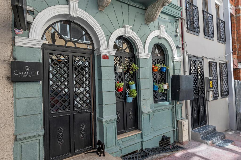 a black cat sitting in front of a building at Calanthe Residence in Istanbul