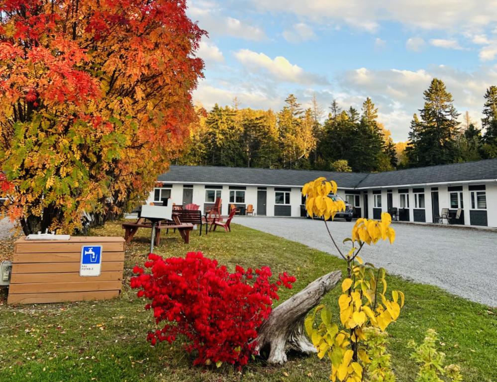 Градина пред Motel de L'Anse et Camping Rimouski