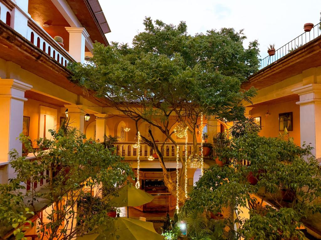 un edificio con un árbol en medio de un patio en Parador del Dominico, en Oaxaca City