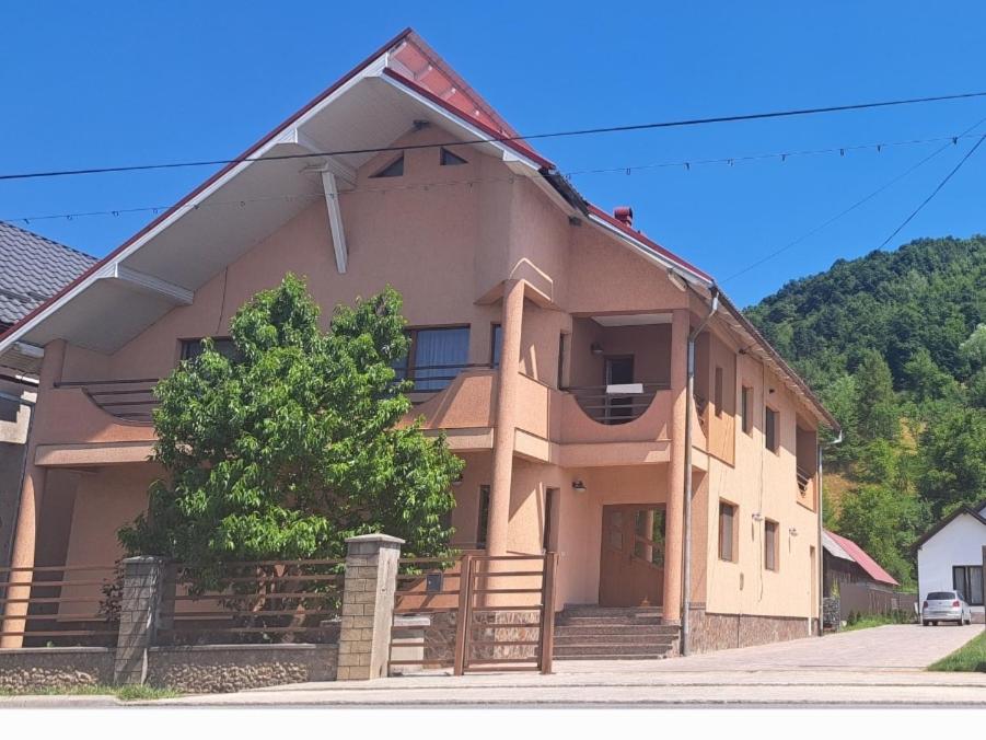 een groot huis met een boom ervoor bij CASA OFRIM, Bârsana, Maramureș in Bîrsana