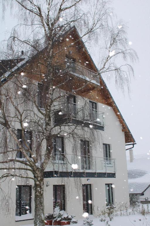 SKI Apartmán Snowcat during the winter